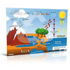 لوحة دورة الماء في الطبيعة